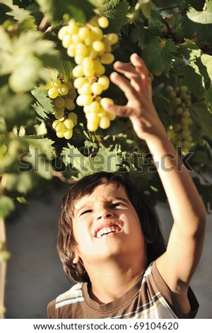 Smiling preteen boy with grapes on grapevine background