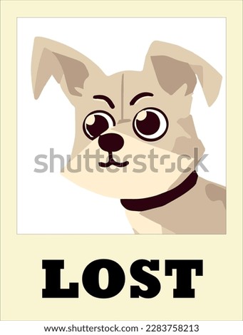 Lost pet dog poster with the picture of cute dog isolate on white background. Lost dog wanted, vector image.