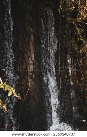 Similar – Image, Stock Photo Majestic waterfall in dark forest