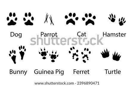 Vector set illustration of domestic animal paw print ,black on white  ,pets foootprint 