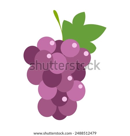 Grapes icon. Bunch of purple grapes with stem and leaf. Vector illustration isolated on white background.