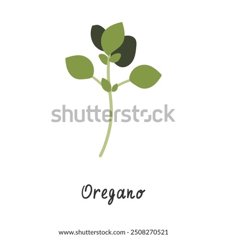 Similar – Image, Stock Photo flowering oregano Oregano