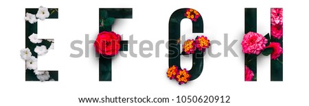 Photo of Flower font Alphabet e, f, g, h, made of Real alive flowers with Precious paper cut shape of letter.Collection of brilliant flora font for your unique decoration in spring, summer & many concept idea