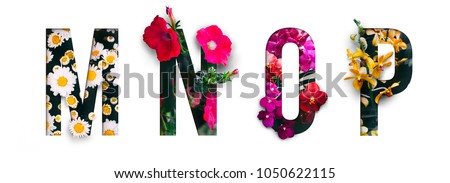 Photo of Flower font Alphabet m, n, o, p, made of Real alive flowers with Precious paper cut shape of letter. Collection of brilliant flora font for your unique decoration in spring, summer & many concept idea