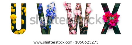 Photo of Flower font Alphabet u, v, w, x, made of Real alive flowers with Precious paper cut shape of letter. Collection of brilliant flora font for your unique decoration in spring, summer & many concept idea