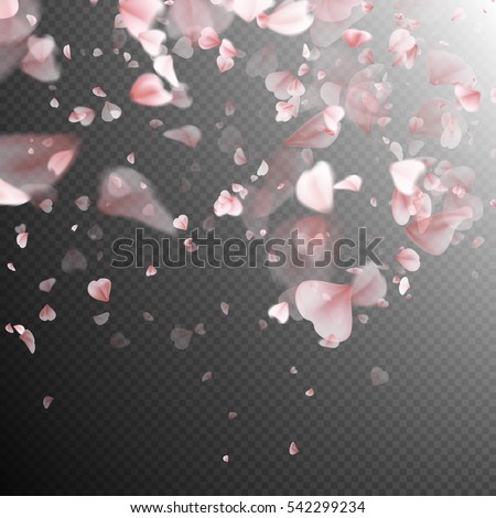 Pink sakura petals background. A lot of falling petals on transparent background. EPS 10 vector file included