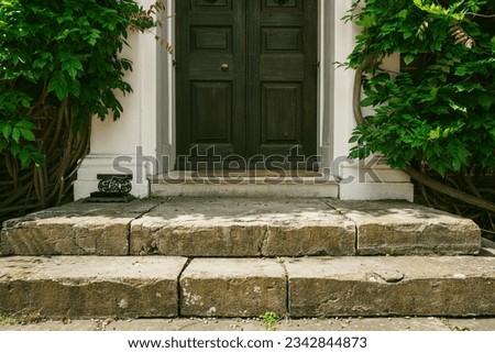 Similar – Image, Stock Photo Old front door of brown wood with decoratedglass and wrought iron of a run-down old building in the district Sachsenhausen in Frankfurt am Main in Hesse