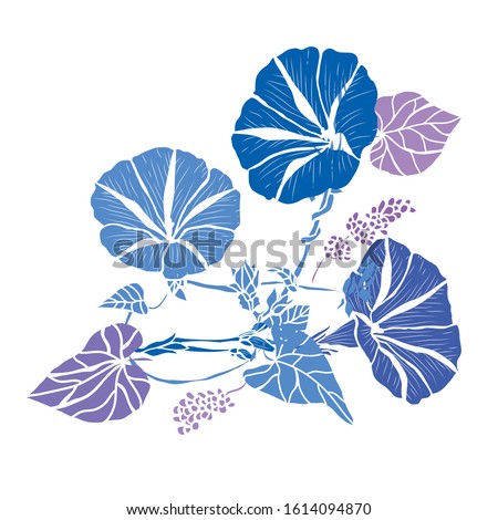 Clipart Flowers Flowers Flower Art And Bows Morning Glory Clipart Stunning Free Transparent Png Clipart Images Free Download