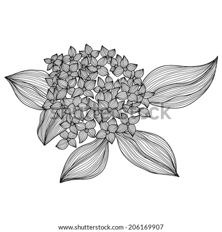 Elegant decorative hydrangea flowers, design element. Floral branch. Floral decoration for vintage wedding invitations, greeting cards, banners.