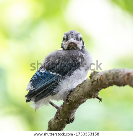 Shutterstock Puzzlepix