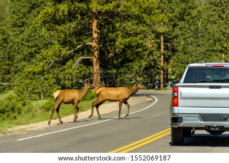Shutterstock Puzzlepix