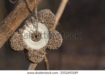 Similar – Image, Stock Photo Feeding protection made of wooden slats. Around a birch tree.