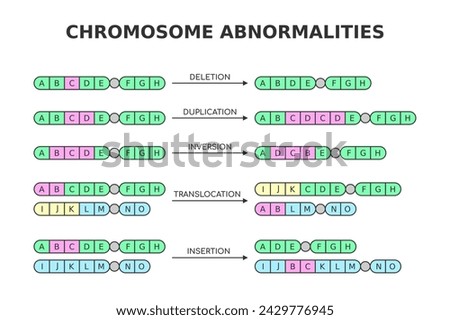 Chromosomal abnormalities. Deletion, duplication, inversion, translocation, insertion. Chromosome structure aberrations, mutations. Medical science diagram. Genetics and DNA. Vector illustration.