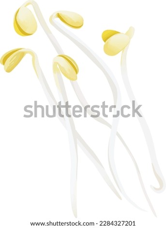 Mung Bean Sprout, Soybean Sprout, Moyashi, Mame Moyashi, Vector Illustration, Vector Editable Scalable Illustration, Isolated