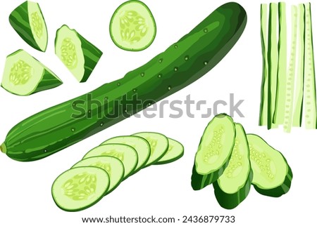 Japanese cucumber hand drawn vector illustration set, isolated cucumber, sliced, chopped, cut pieces