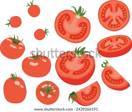 Set of Tomatoes Whole, Half, Quarter, Slice, Angled, Hand Drawn Vector Illustration Set Isolated
