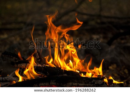 A camp fire burning, outdoor night scene.