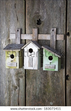 Beautiful birdhouses with English Ivy on old wooden fence