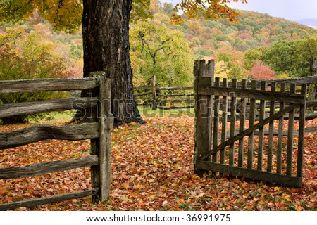 Autumn trees, leaves, fence and gate  in Virginia Mountains