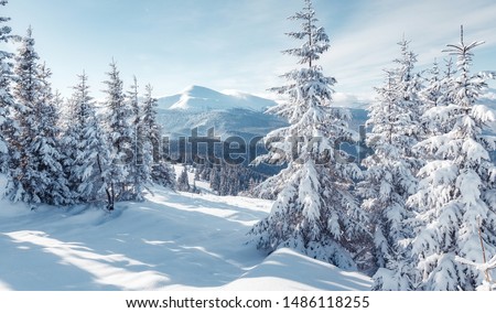 Similar – Image, Stock Photo Wonderful scenery of highland under lush dramatic clouds