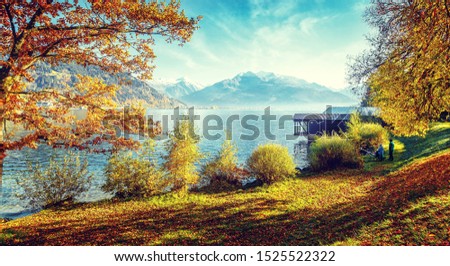 Similar – Image, Stock Photo Picturesque scenery of lake and road