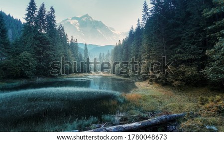 Similar – Image, Stock Photo Mountain autumn misty Sunrise panorama. Majestic Morning fog, November Valley Aerial scene. Ice, frost on grass. Fall sunny Landscape, forest hills. Beautiful tonal perspective