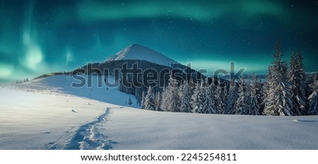 Similar – Image, Stock Photo Amazing scenery of Northern lights over snowy terrain in winter