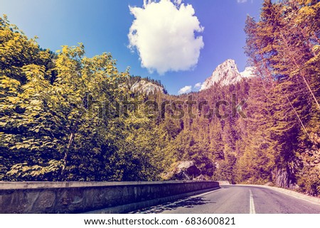 Shutterstock Puzzlepix
