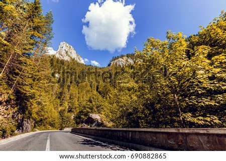 Shutterstock Puzzlepix