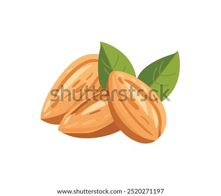 Cartoon Almonds. Flat Vector Illustration of Crunchy Almond Snacks. Raw Almonds in Shell on White Background