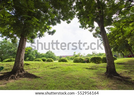 Similar – Foto Bild Zwei Bäume Natur Baum Feld