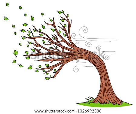 An image of a Blowing Wind Windy Day Tree cartoon.
