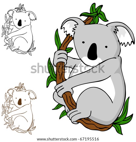 An Image Of A Koala Cartoon Drawing. Stock Vector Illustration 67195516 ...