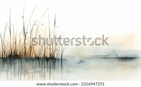 Similar – Image, Stock Photo Reed in the evening backlight on the banks of the Warnow