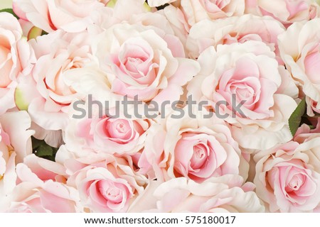 Vintage Rose Background Images And Stock Photos Avopixcom