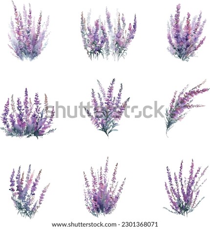 Similar – Image, Stock Photo Flowering heather as background