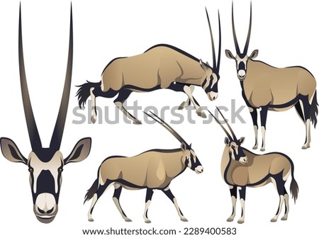 realistic african desert wild beast oryx gazelle animal illustration set