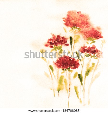 pink aster flower on a white background painted in watercolor
