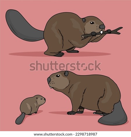 A cartoon image of beavers and a baby beaver.