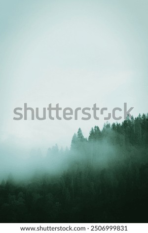 Similar – Image, Stock Photo Gloomy nature Nature