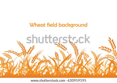 Vector silhouette of wheat. Wheat in the field on a white background