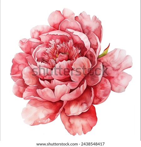 Similar – Image, Stock Photo Pink peony flower in stoneware vase in hand