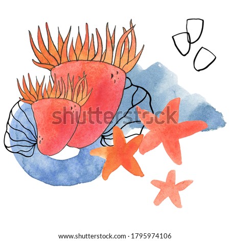 Under the sea is a collection of high-quality hand-drawn watercolor and line art illustrations of underwater world, abstract shapes and abstract lines