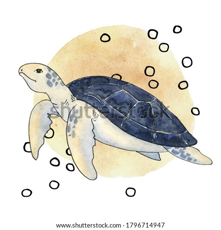 Mistery sea is a collection of high-quality hand-drawn watercolor and line art illustrations of sea animals, abstract shapes and planets, constellations, abstract lines and stars