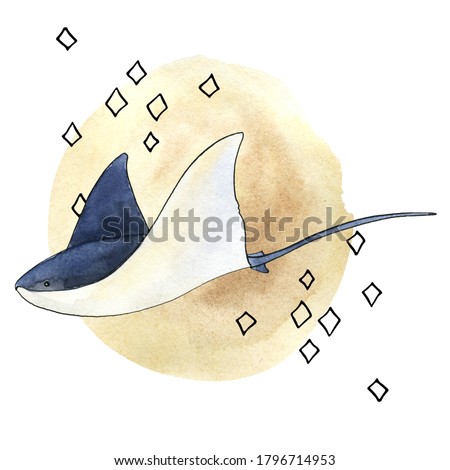 Mistery sea is a collection of high-quality hand-drawn watercolor and line art illustrations of sea animals, abstract shapes and planets, constellations, abstract lines and stars