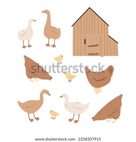 duck, goose, chicken coop illustrations, domestic animals clipart, farm life illustrations, farmer flat vector style