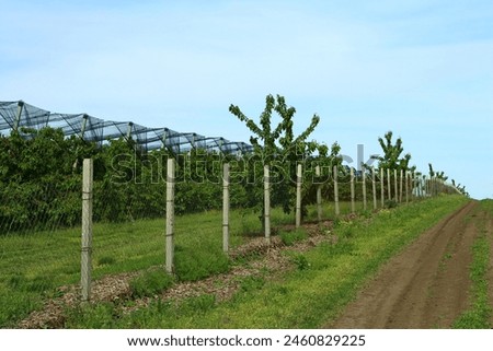 Similar – Image, Stock Photo Irrigation Long shot