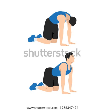 Man doing Cat back. Backward camel stretch exercise. Flat vector illustration isolated on white background