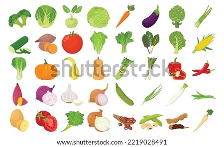 Flat vector of cute bright colors of Vegetables and beans vector icon collections. Illustration isolated on white background 
