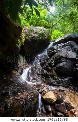 Beautiful view to rainforest river waterfall on green landscape, Tijuca Park, Rio de Janeiro, Brazil Foto stock © 